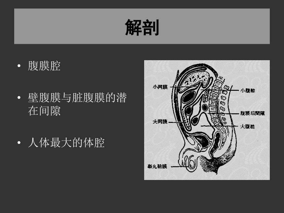 05-急性化脓性腹膜炎3-2幻灯片_第4页