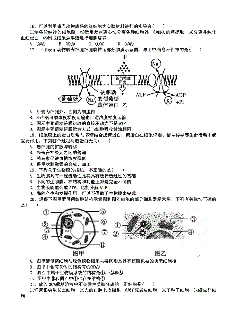 山东省桓台第二中学2015届高三上学期第一次（10月）检测生物试题_第4页