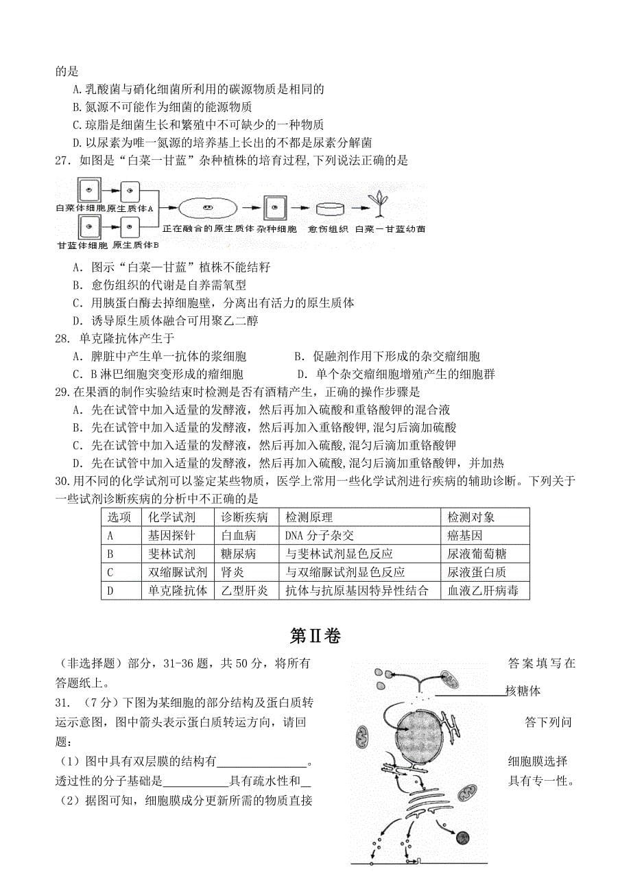 北京市东城区普通校2014届高三上学期期中联考生物试题_第5页