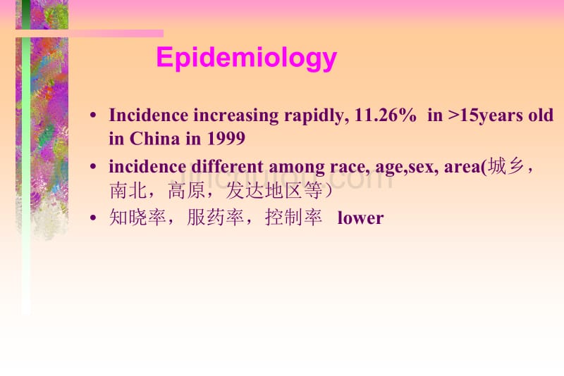 高血压Hypertension教学幻灯片_第2页