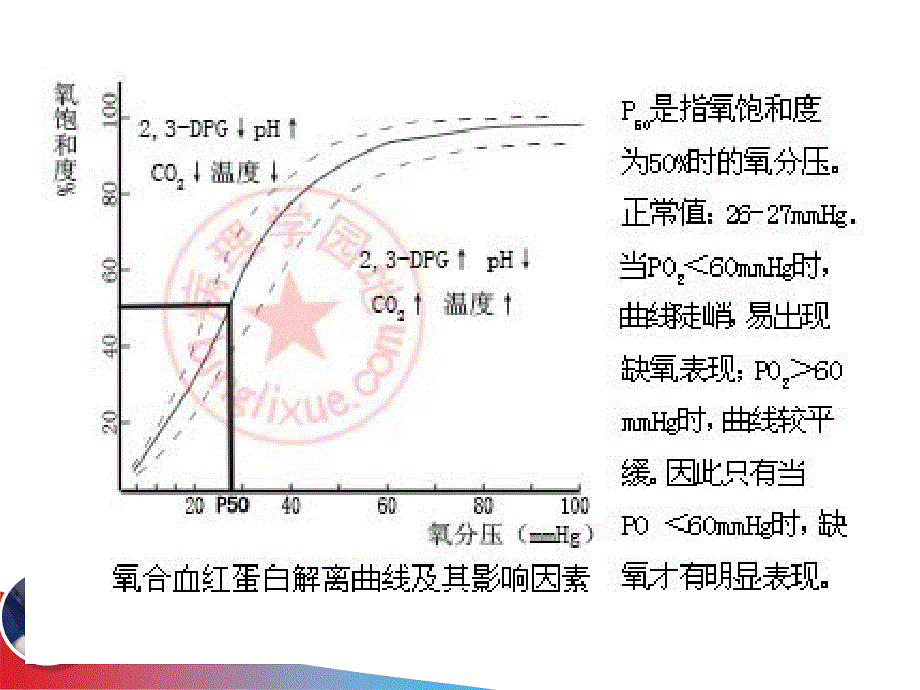 急性呼吸衰竭93幻灯片_第3页