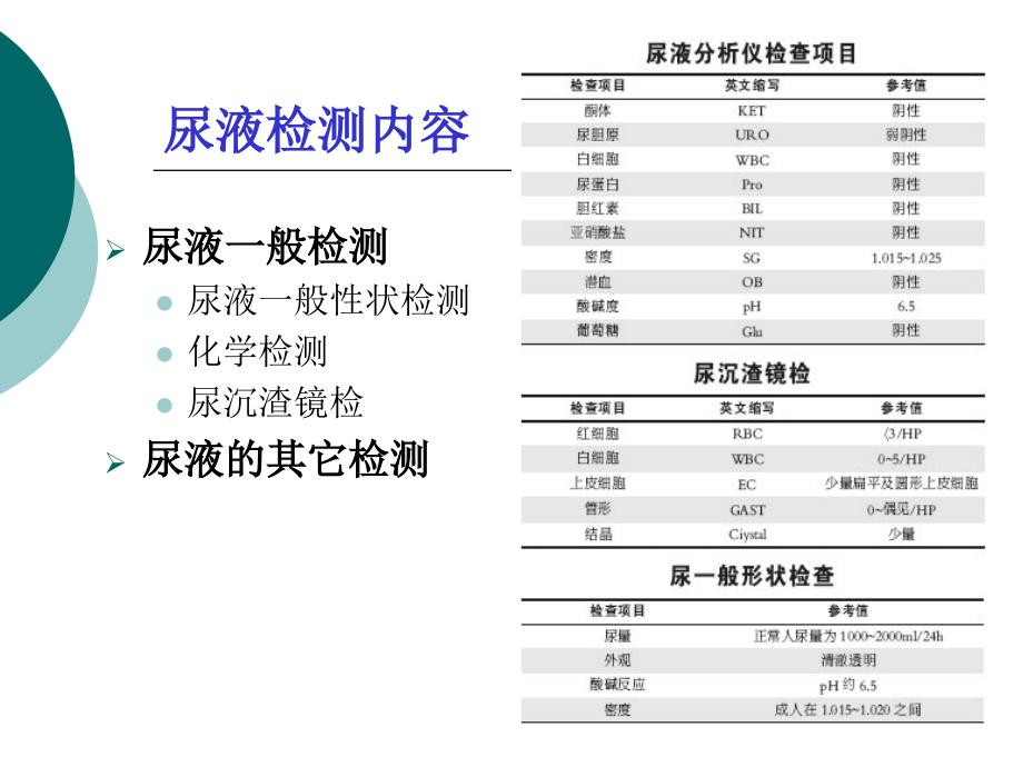 实习五尿常规检查以及便潜血检查_第3页