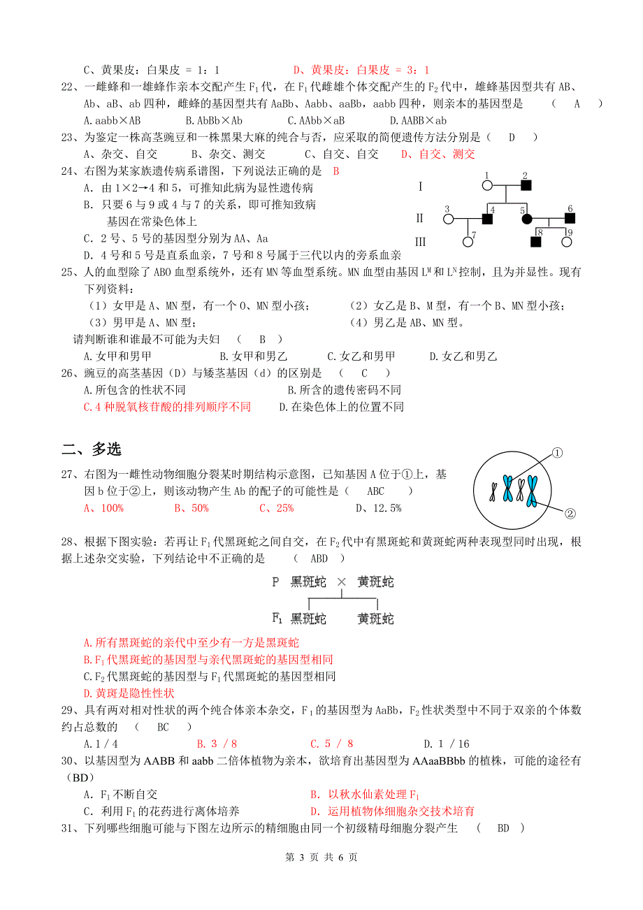 遗传的基本规律及性别决定和伴性遗传_第3页