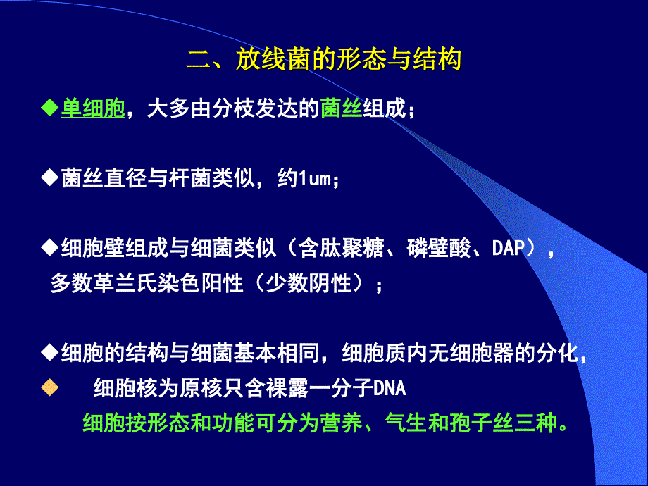 食品微生物—放线菌_第3页