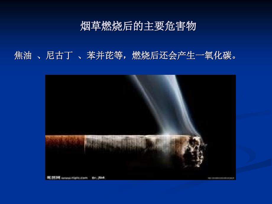 5.31吸烟有害健康幻灯片_第3页