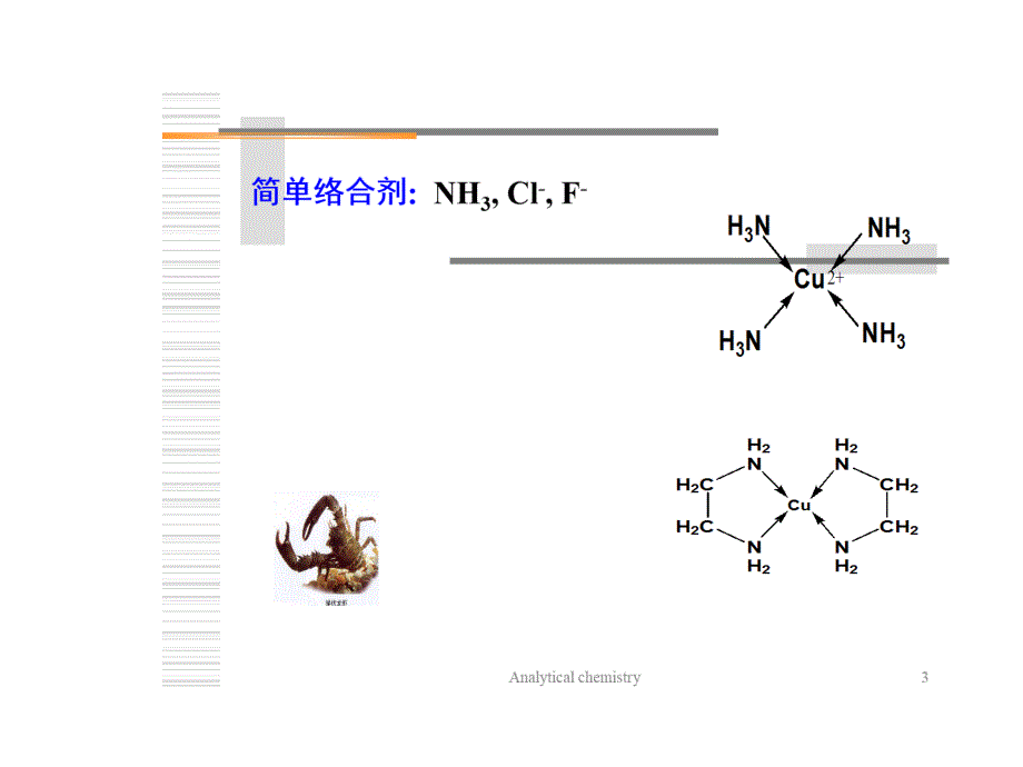 中科大——分化(中)_第4页