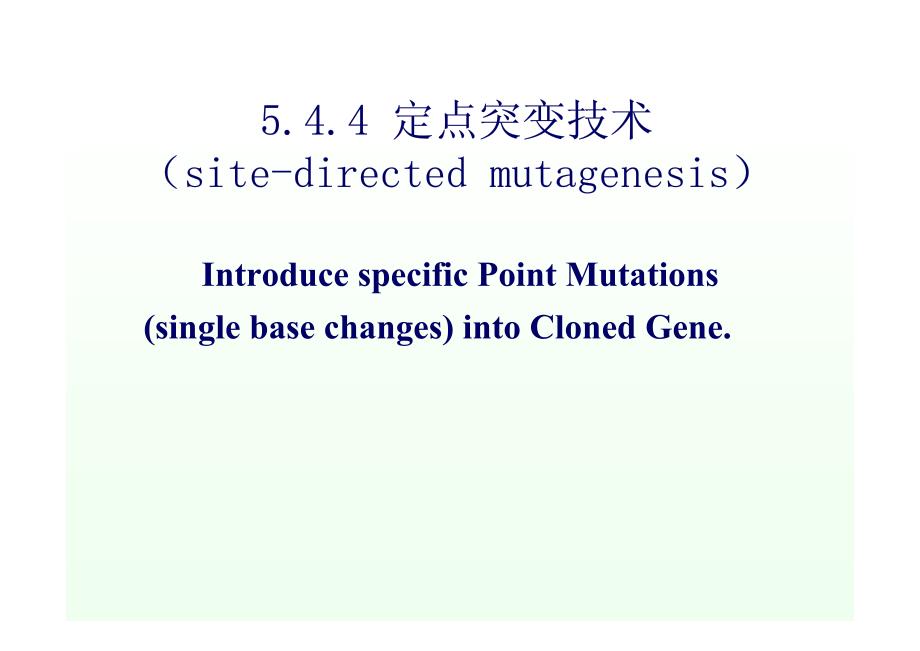 定点突变技术_第1页