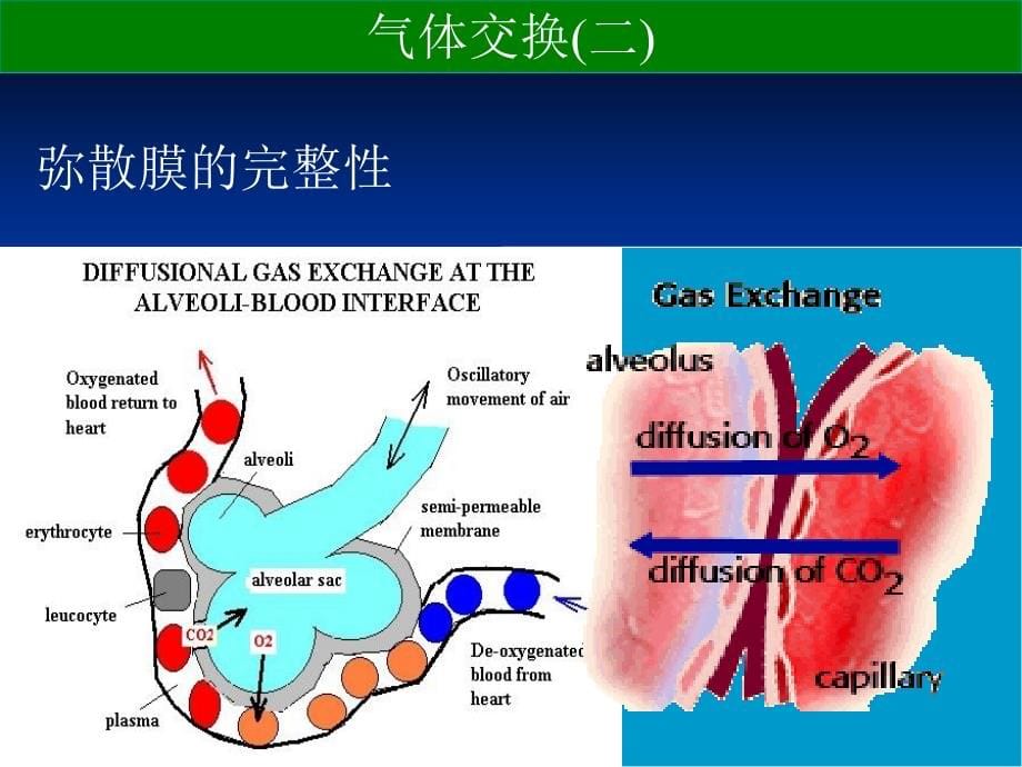 护理培训讲座幻灯片_第5页