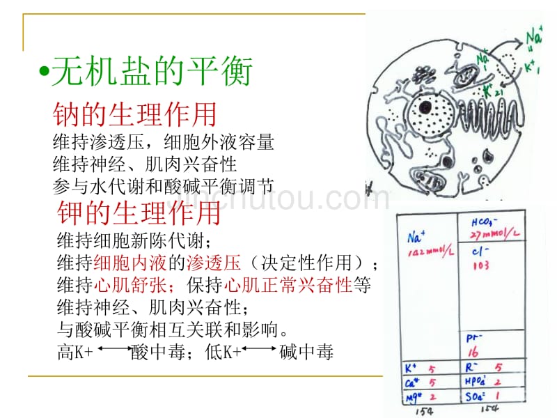 护士执业资格考试外科护理学1幻灯片_第3页