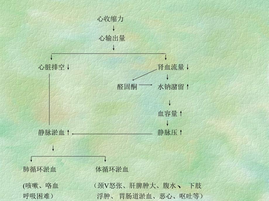 抗慢性心功能不全药-2_第2页