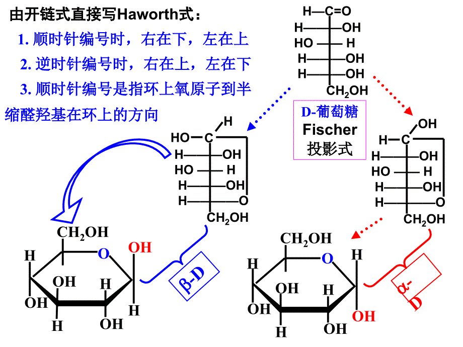 碳水化合物单元练习_第2页