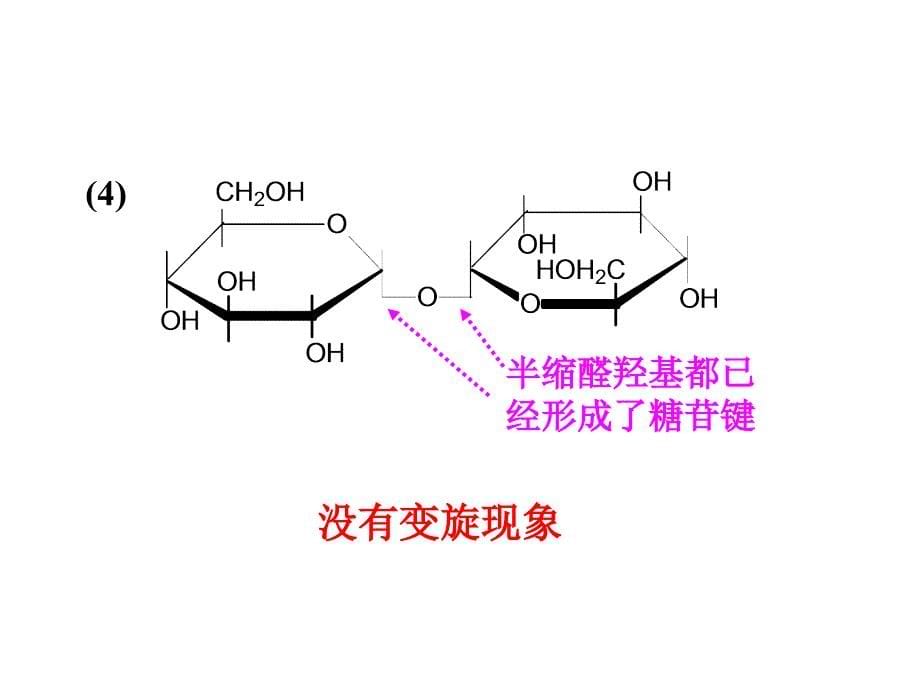 碳水化合物单元练习_第5页