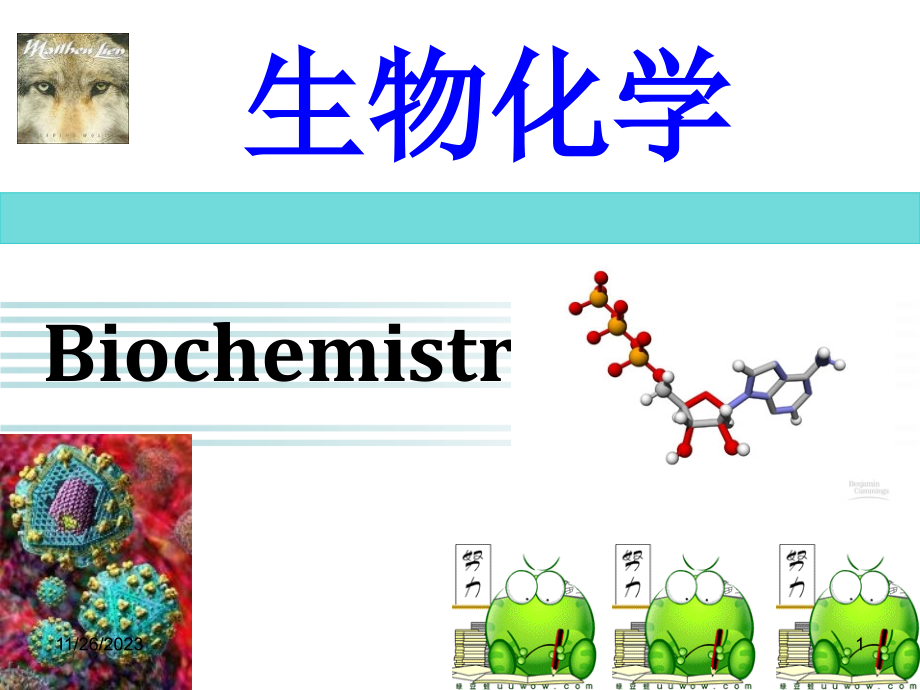 生物化学总复习_第1页