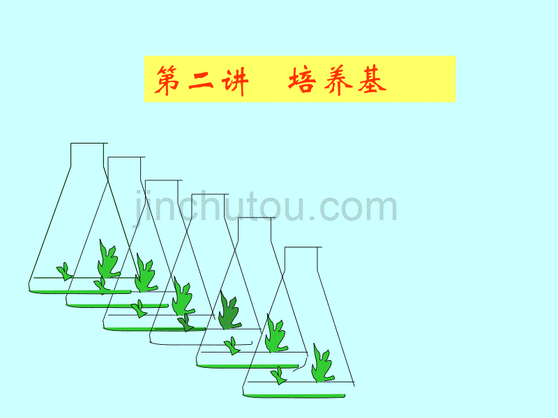 【生物技术】第二讲 植物组培的培养基_第1页