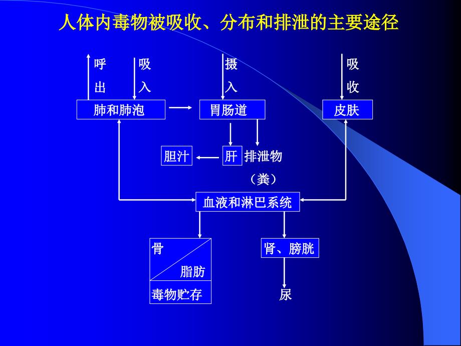 污染物的转化与效应_第2页