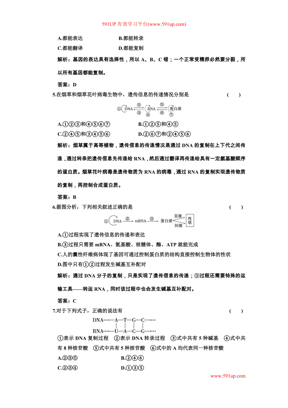 必修部分 第六章 第一节 三 基因的表达_第2页