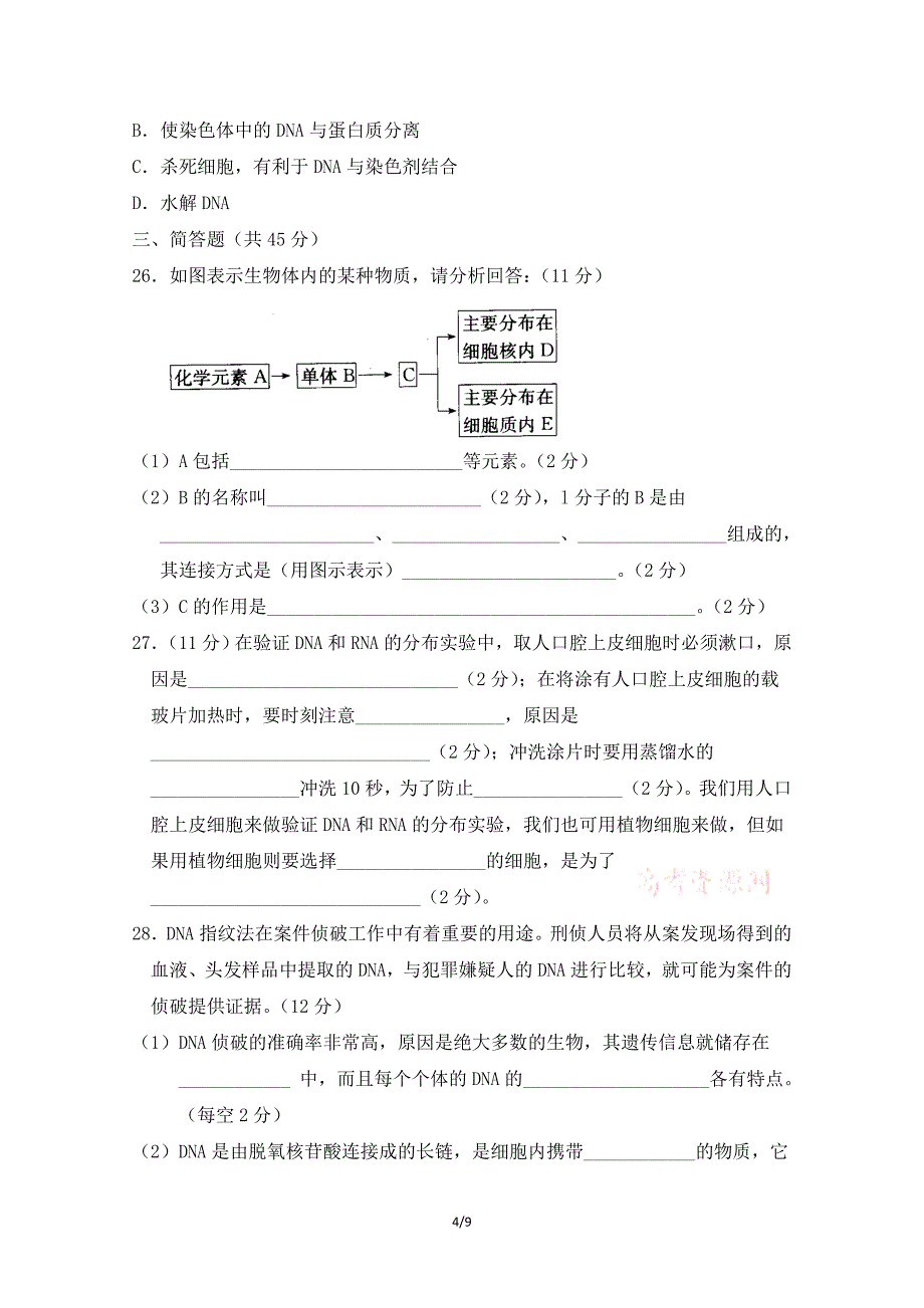 《遗传信息的携带者——核酸》测试_第4页