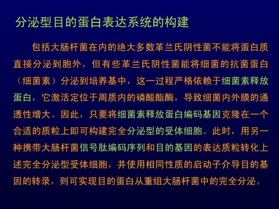 微生物基因工程_1525117206_第5页