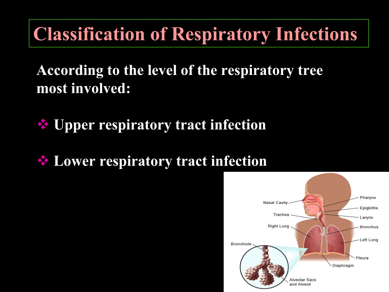呼吸系统疾病-英文幻灯片_第4页