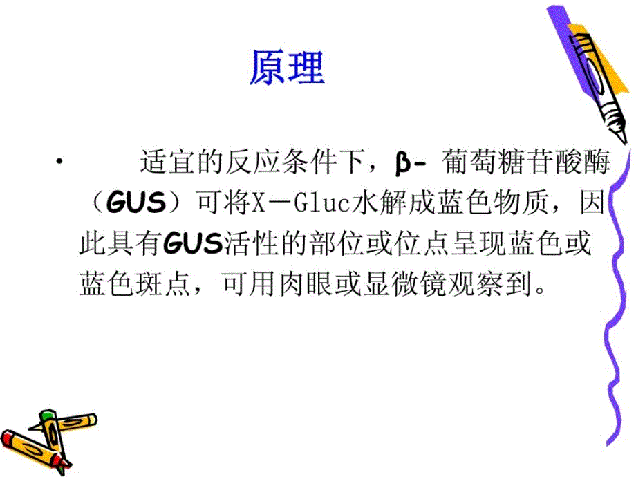 实验八、转基因生物的gus检测_第3页