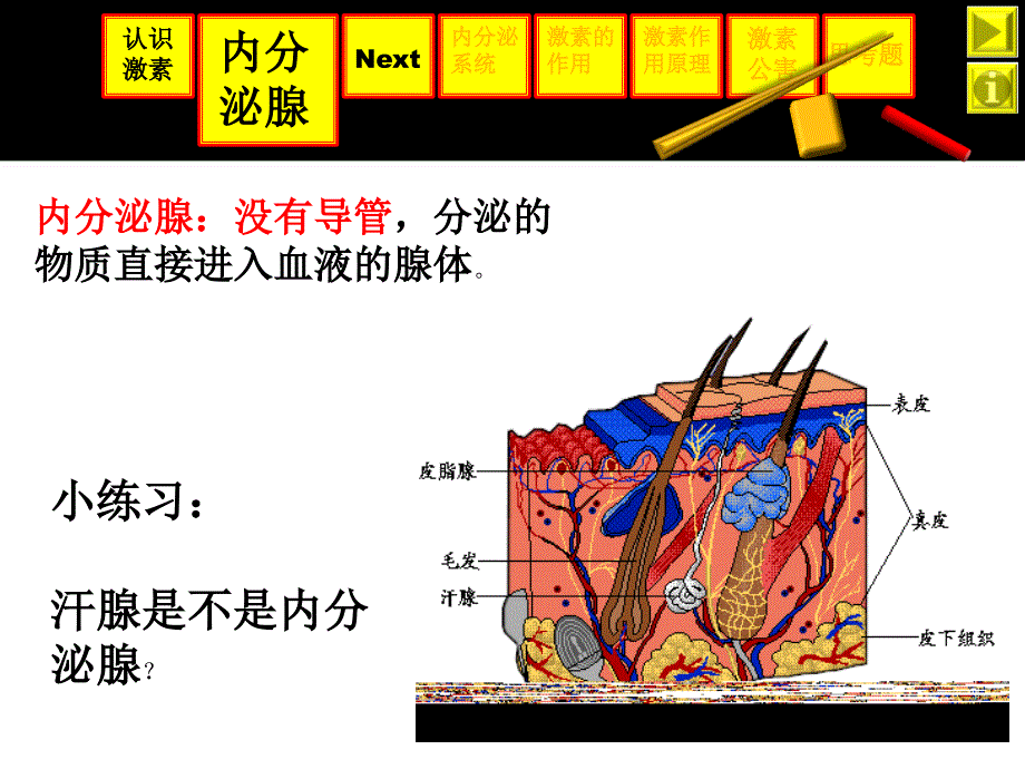 激素上教版幻灯片_第4页