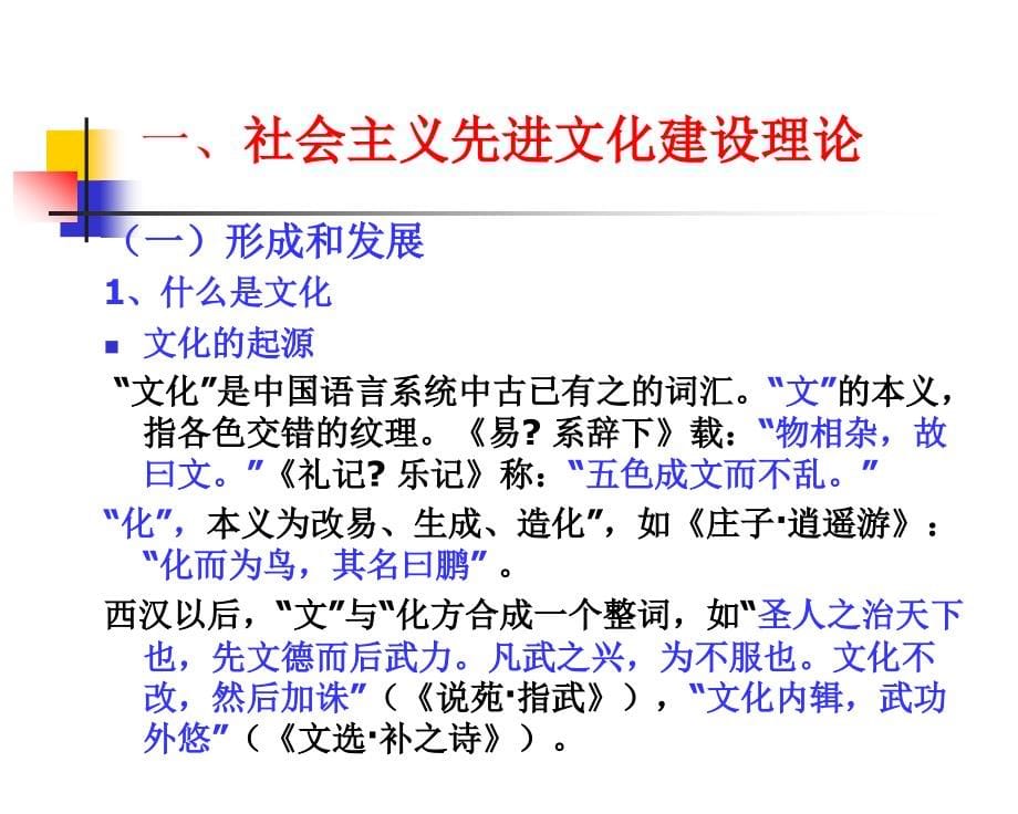 中国特色社会主义理论与实践 4_第5页