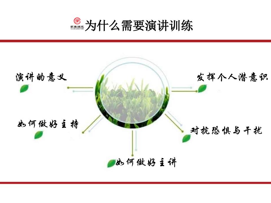 魅力口才-公众演说特训_第2页