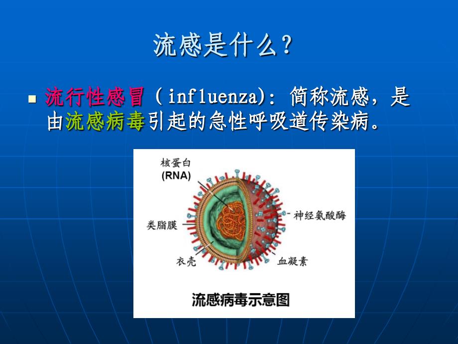 流感指南2011-解读_第3页