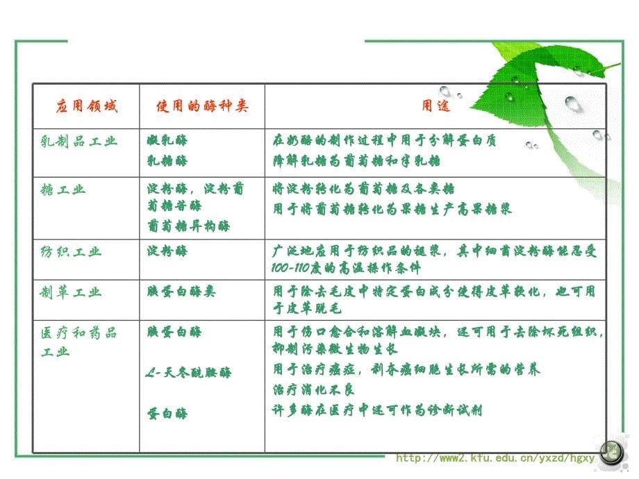 生化生产工艺学精品课程_第5页