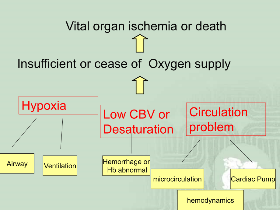 心肺复苏CPR-教学课件（英文）_第4页