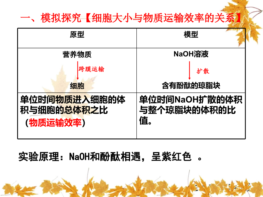 非常好细胞增殖定稿_第4页