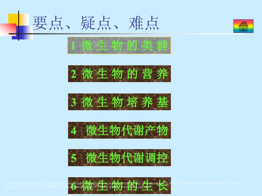 微生物与发酵工程-高中三年级生物课件_第2页