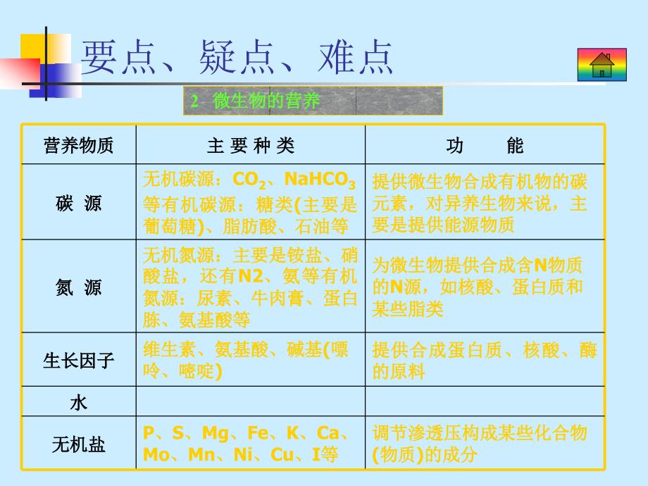 微生物与发酵工程-高中三年级生物课件_第4页