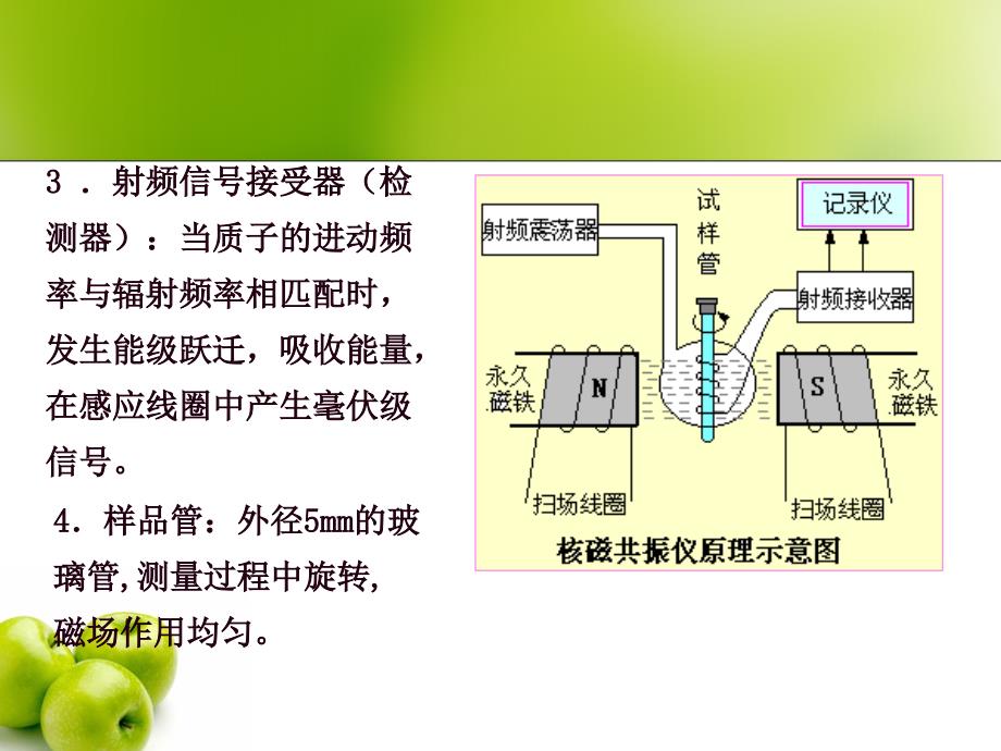 核磁共振3幻灯片_第3页