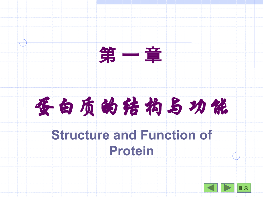 沈阳药科大学生物化学课件——第1章蛋白质_第1页