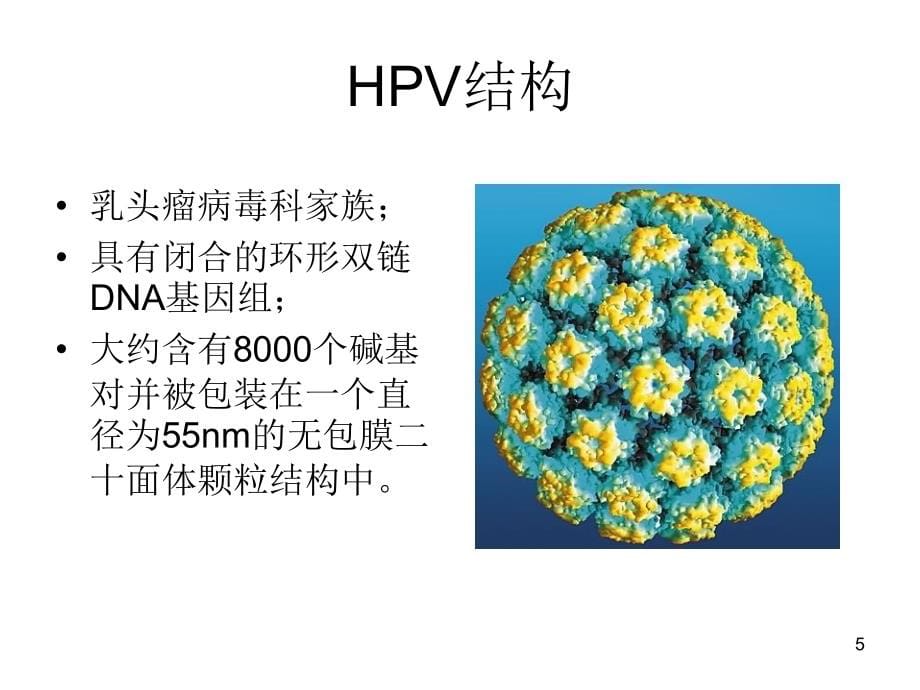 妇产科疾病的分子发生基础　课件_第5页