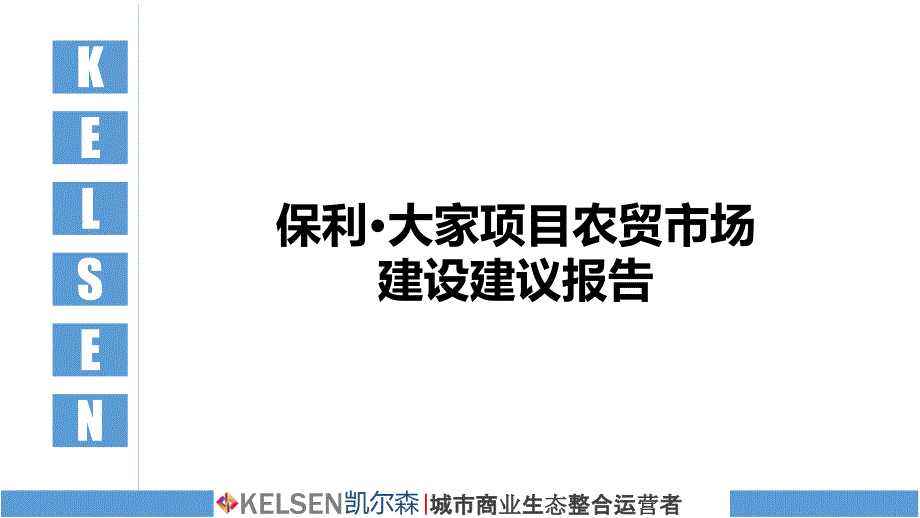 昆明保利·大家项目农贸市场建设建议报告_第1页