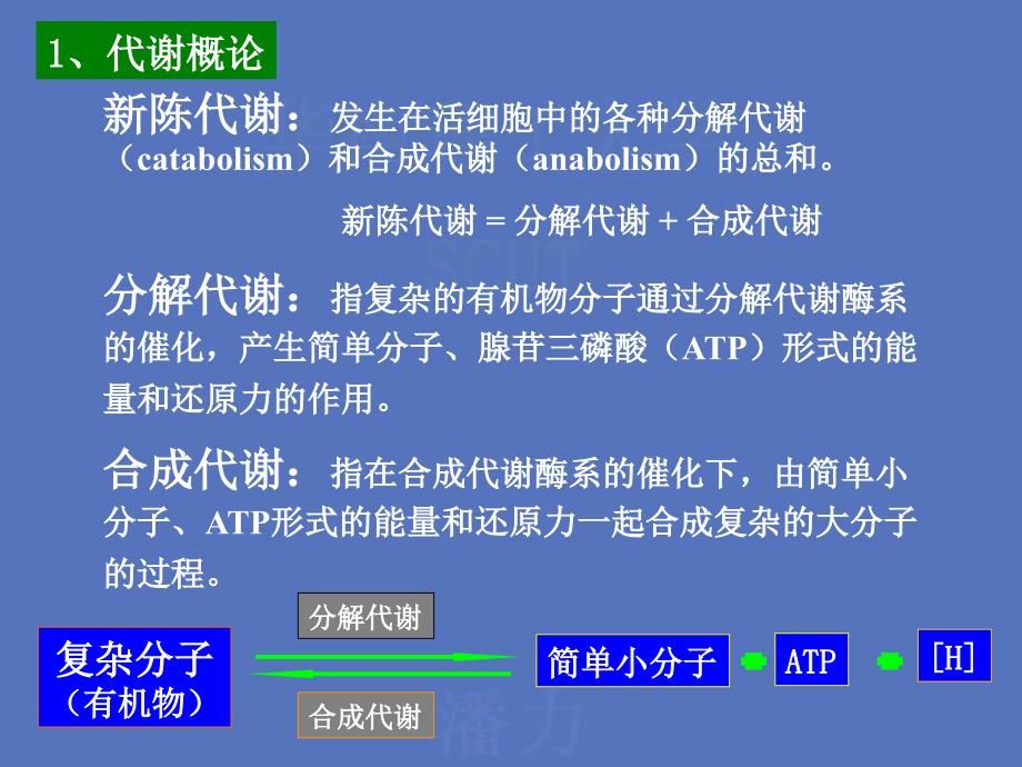 微生物代谢5.1_第1页