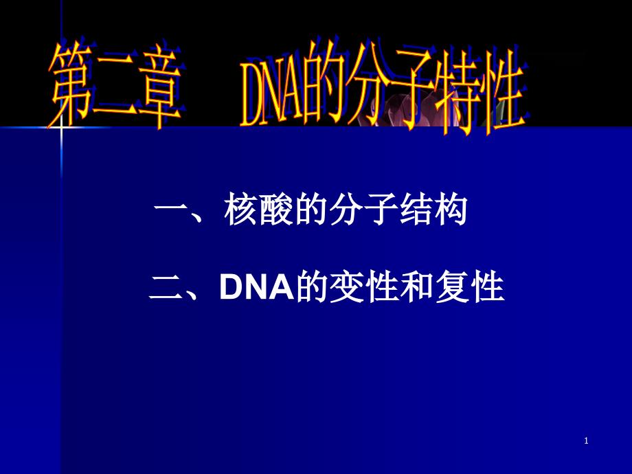 高中物理DNA的分子特性_第1页