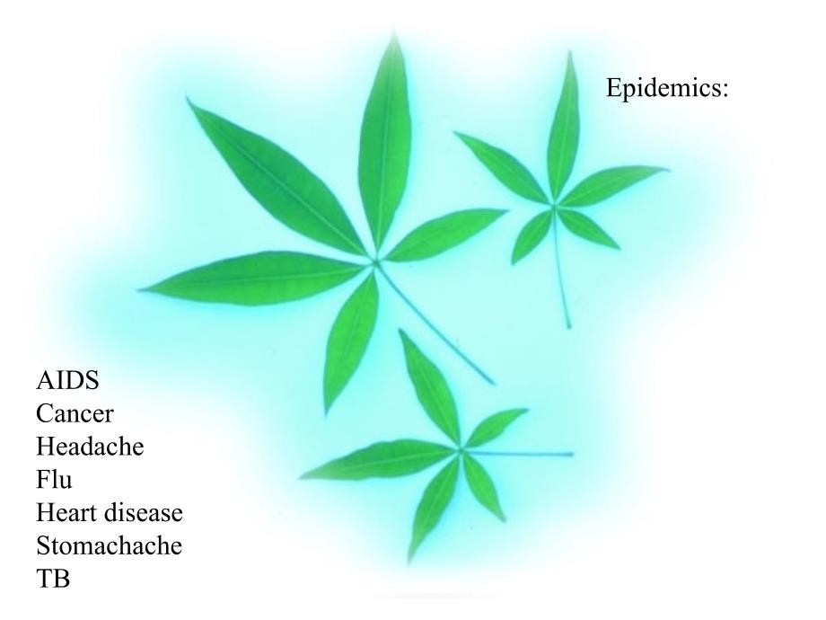 高中英语Unit 21 Lesson 3 Epidemics Explained 2课件北师大版选修7_第4页