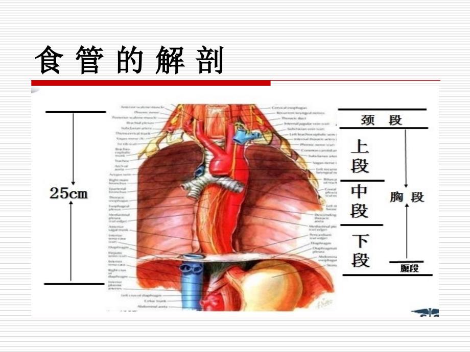 护理查房 (1)_第2页