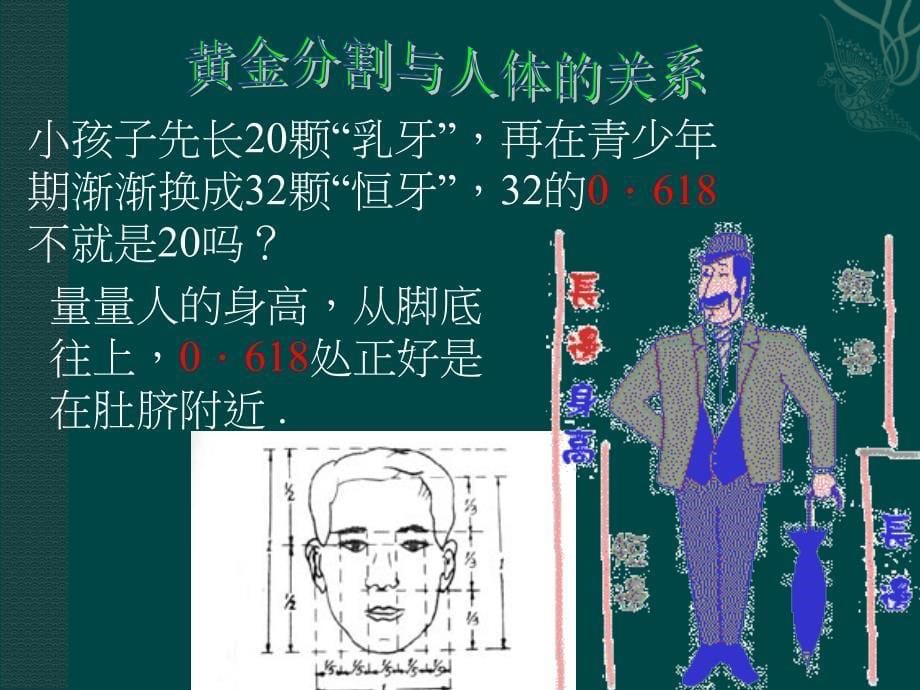 北师大版八年级下数学__黄金分割教学课件_第5页