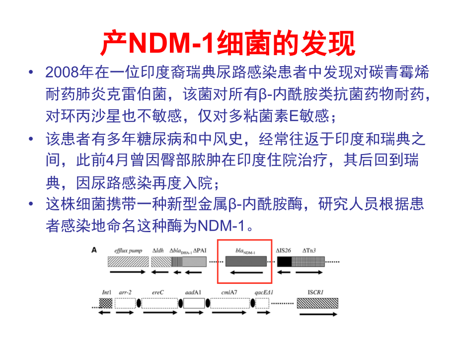 5、抗菌药物合理使用管理体系幻灯片_第2页