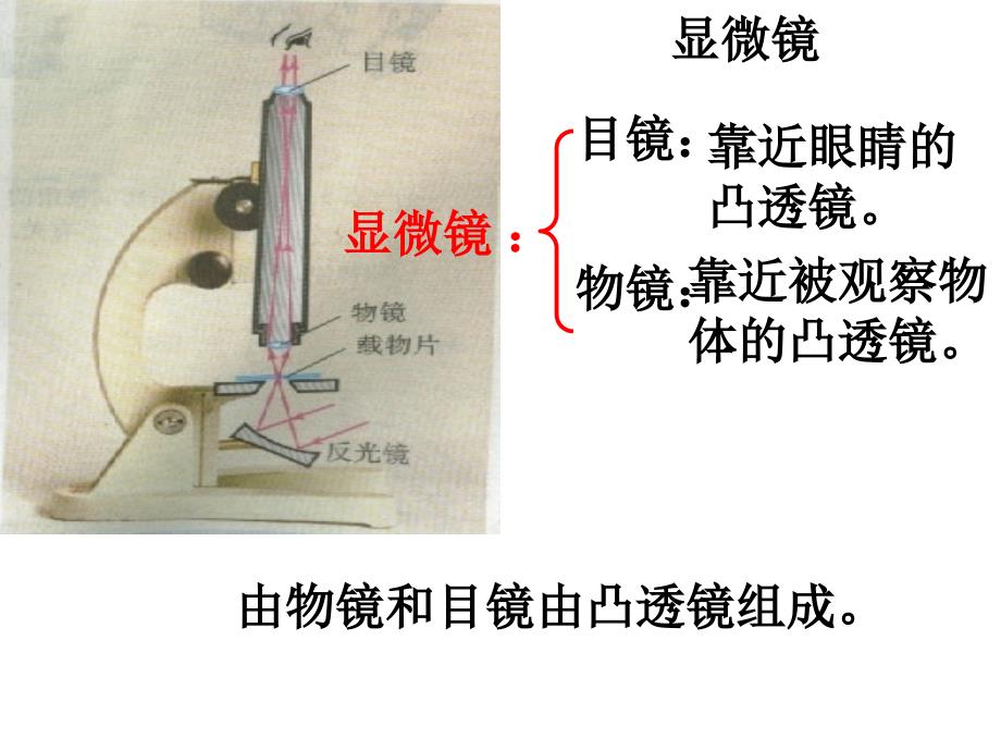 显微镜和望远镜ppt课件_第3页