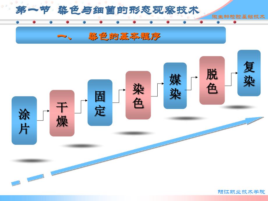 食品检验技术(第四章)_第3页