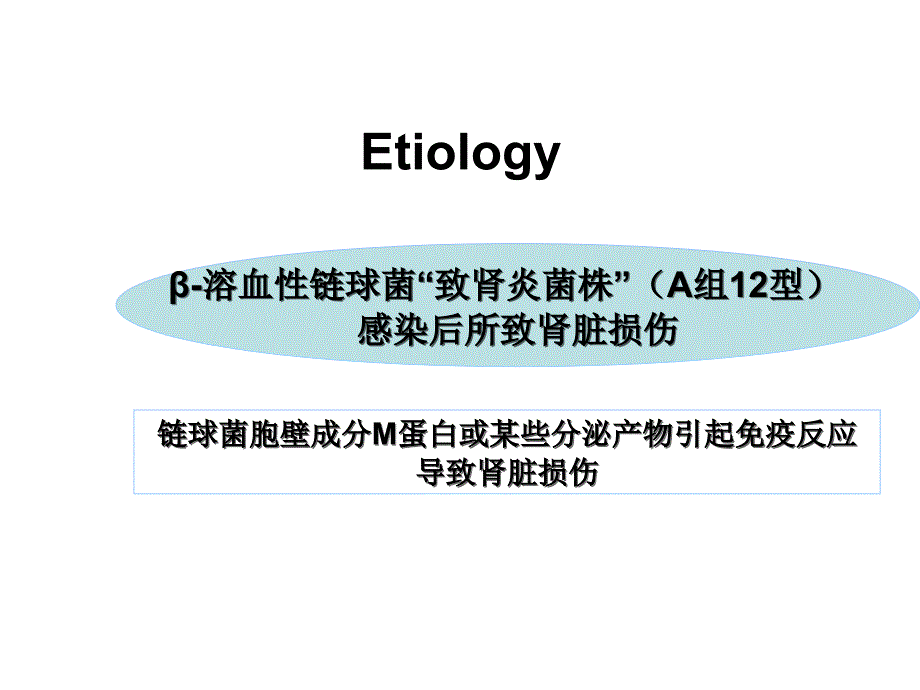 急性肾小球肾炎11幻灯片_第4页