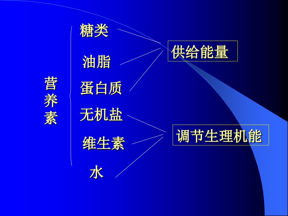 提供能量与营养的食物_第3页