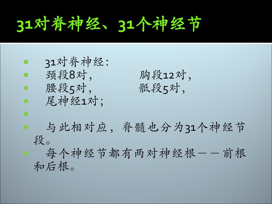 广中医神经内科脊髓疾病幻灯片_第4页