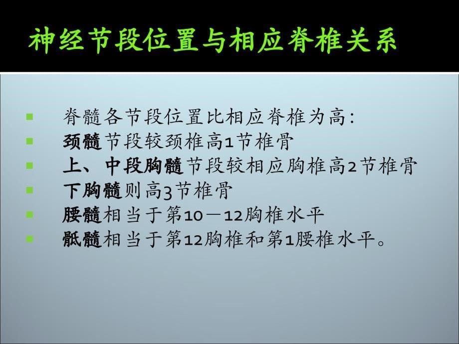 广中医神经内科脊髓疾病幻灯片_第5页