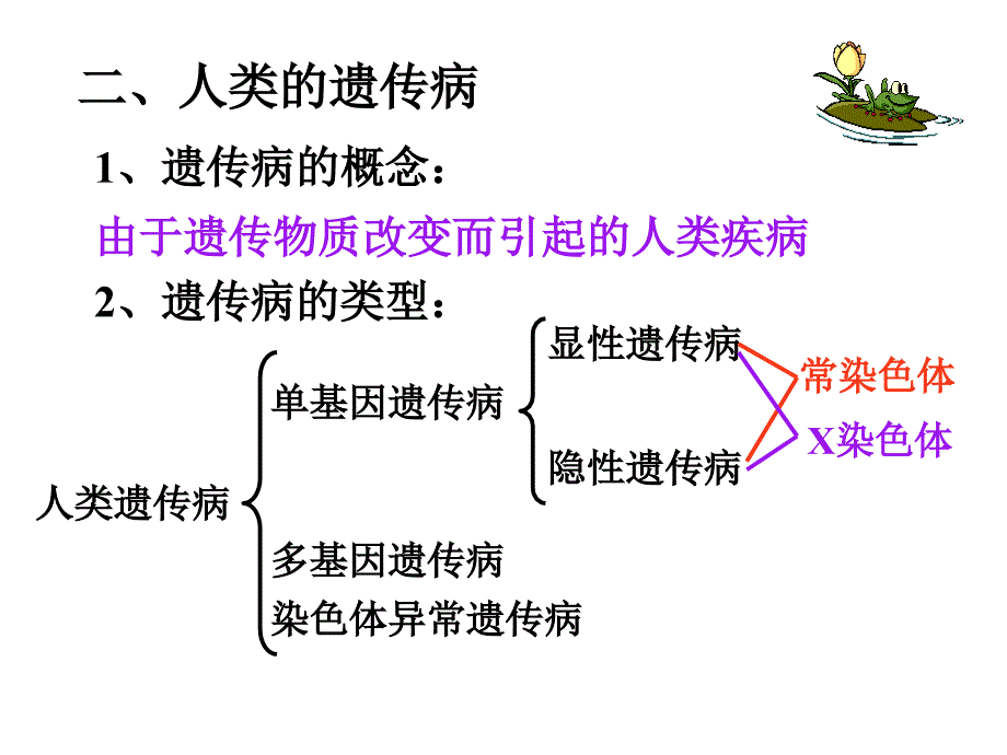 5.3人类遗传病1幻灯片_第4页